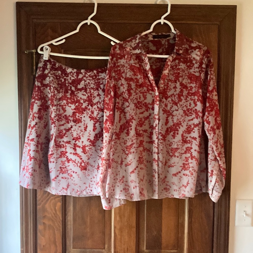 The Limited. Sheer Blouse and Lined skirt. Size medium.